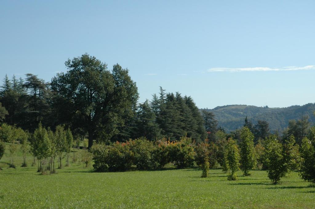 Agriturismo Rio Verde Sasso Marconi Zimmer foto