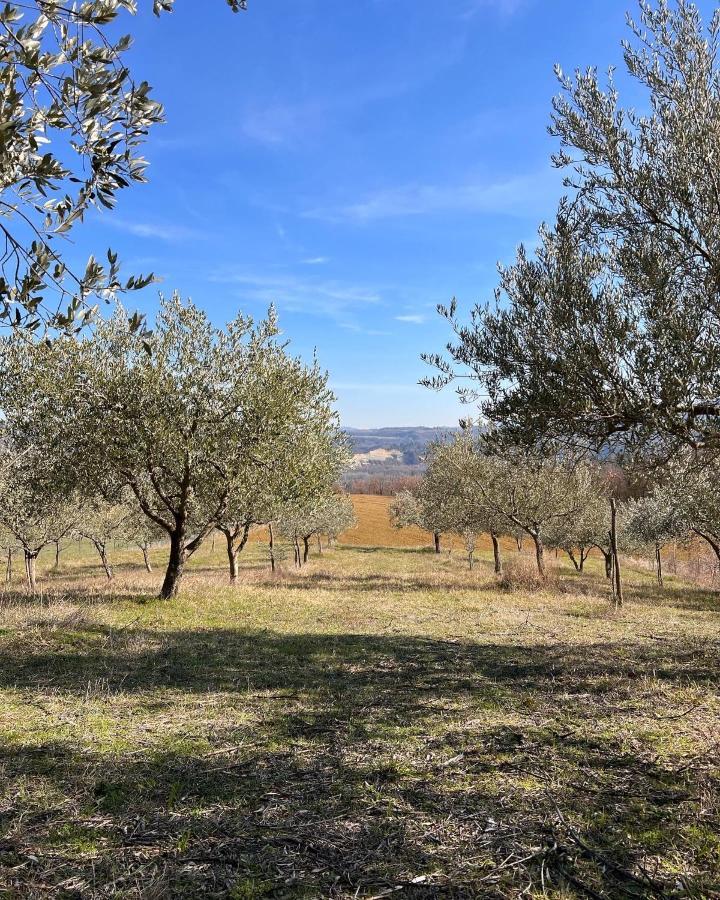 Agriturismo Rio Verde Sasso Marconi Exterior foto
