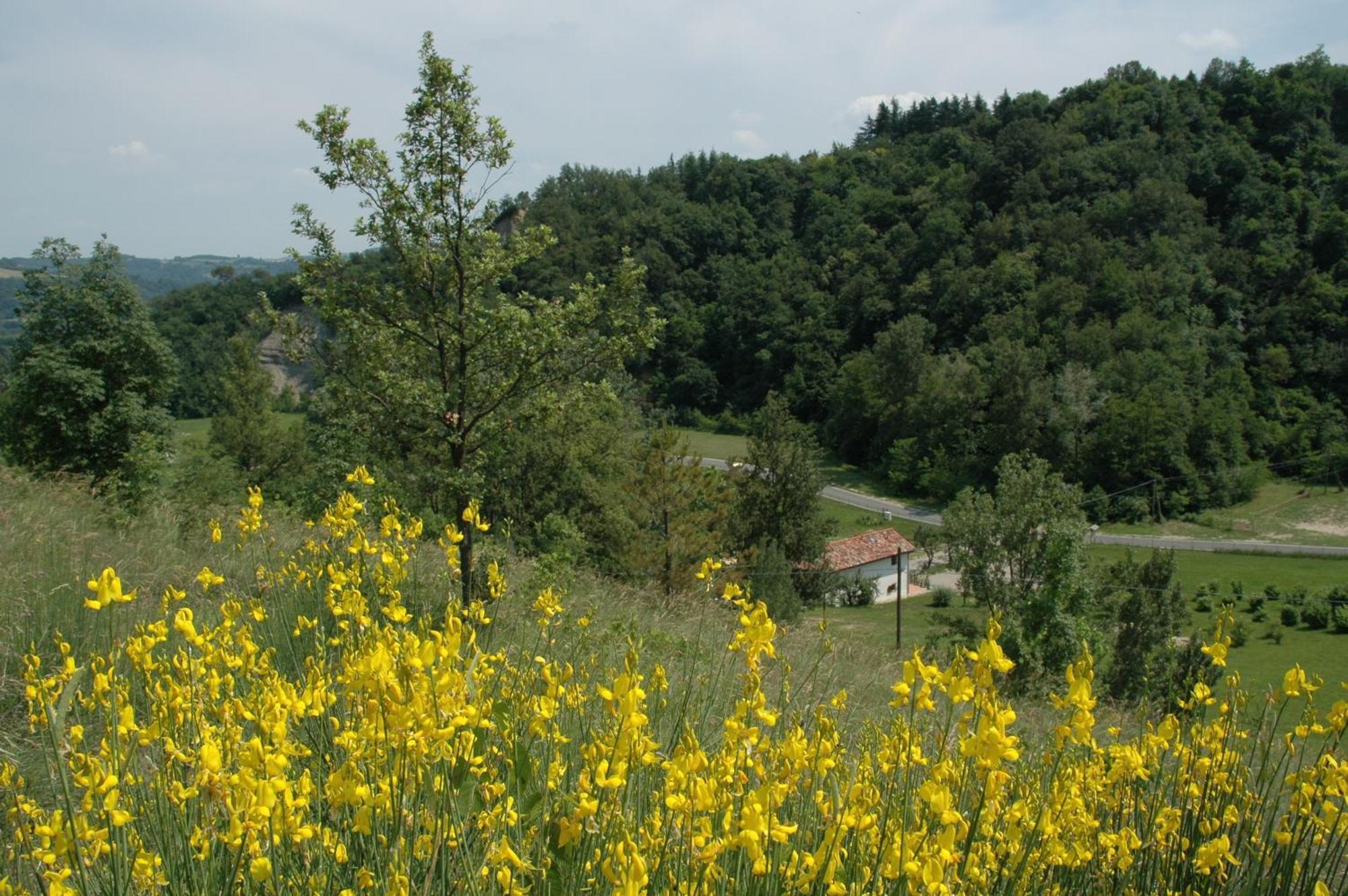 Agriturismo Rio Verde Sasso Marconi Exterior foto